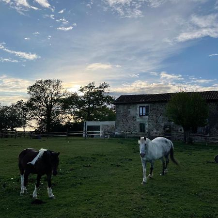 Gite A La Campagne Au Bord D'Un Lac 8 Personnes Saint-Quentin-sur-Charente Ngoại thất bức ảnh